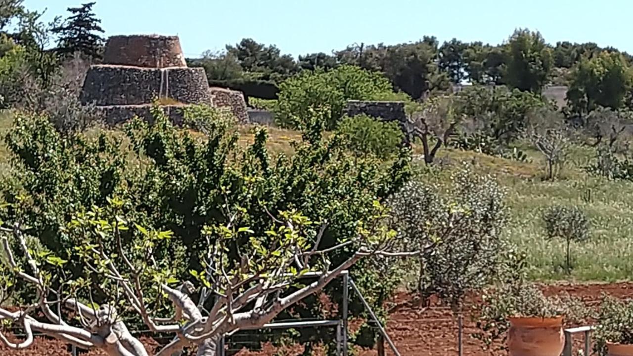 Villa Aurora Santa Maria al Bagno Kültér fotó